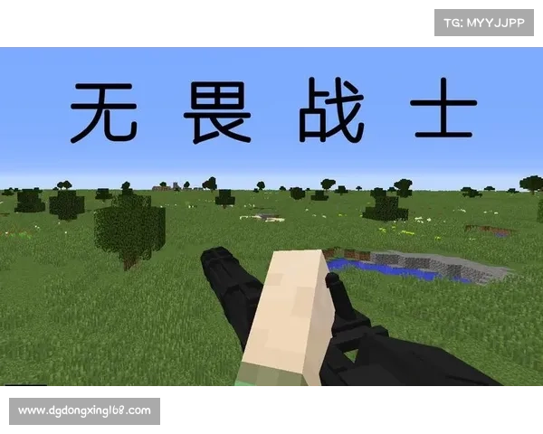 荣誉勋章战士无畏使命背后的英雄情怀与传奇故事 荣誉勋章战士无畏使命背后的英雄情怀与传奇故事